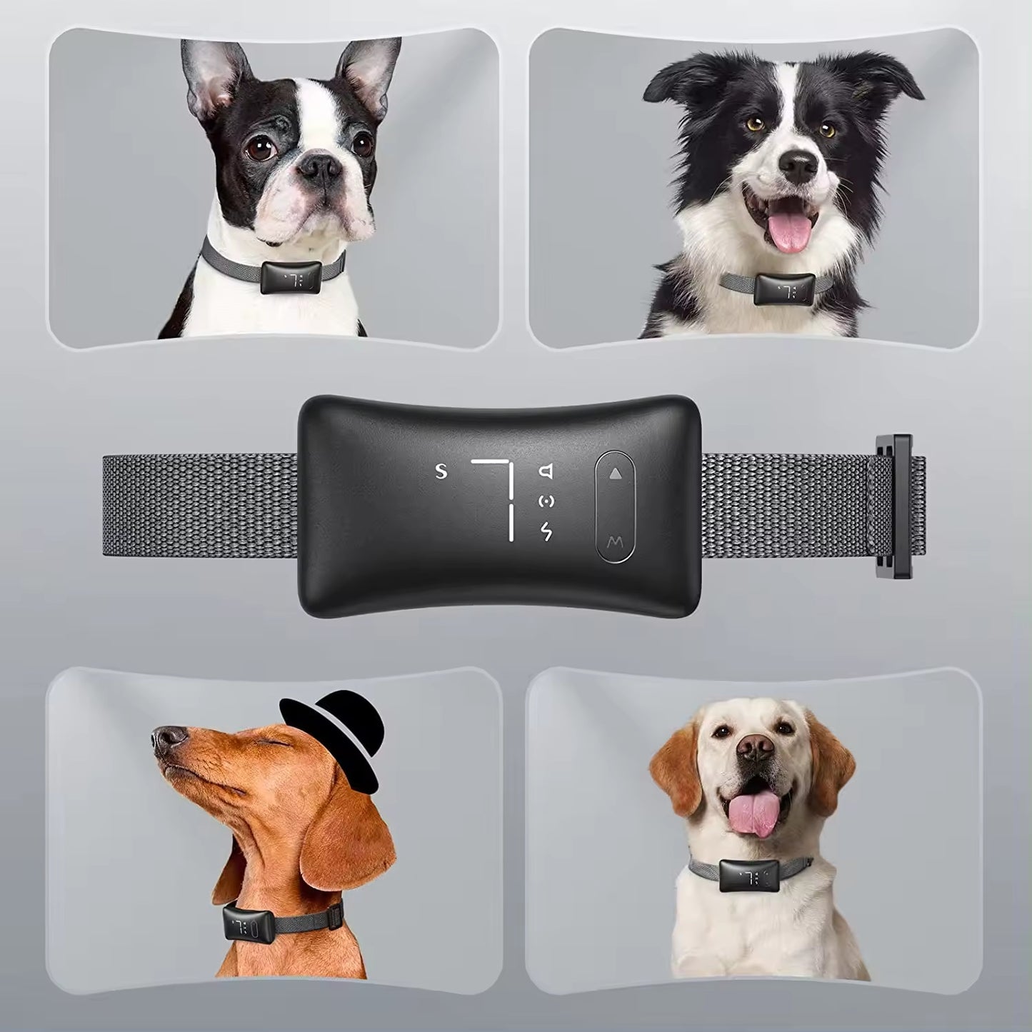 Smart Pet Anti-Bark  Training Collar